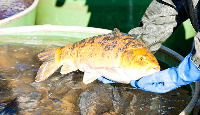 que saber antes de comprar un  guante de pescar, mejores guantes de pesca, 10 mejores guantes de pesca
